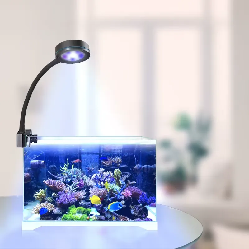 Aquarium Blue Marine Reef - 아쿠아산라이즈 풀 스펙트럼 코랄 그로우 화이트