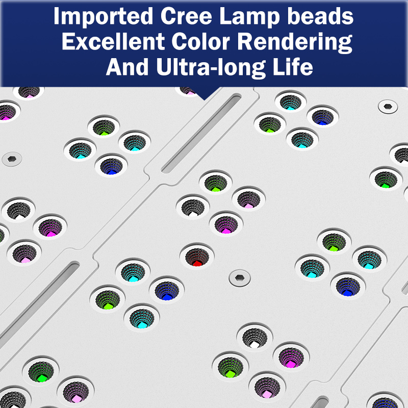 Marine Aquarium & Regional Centre - 핫 KASSRAY T169/T215 CREE LED 풀