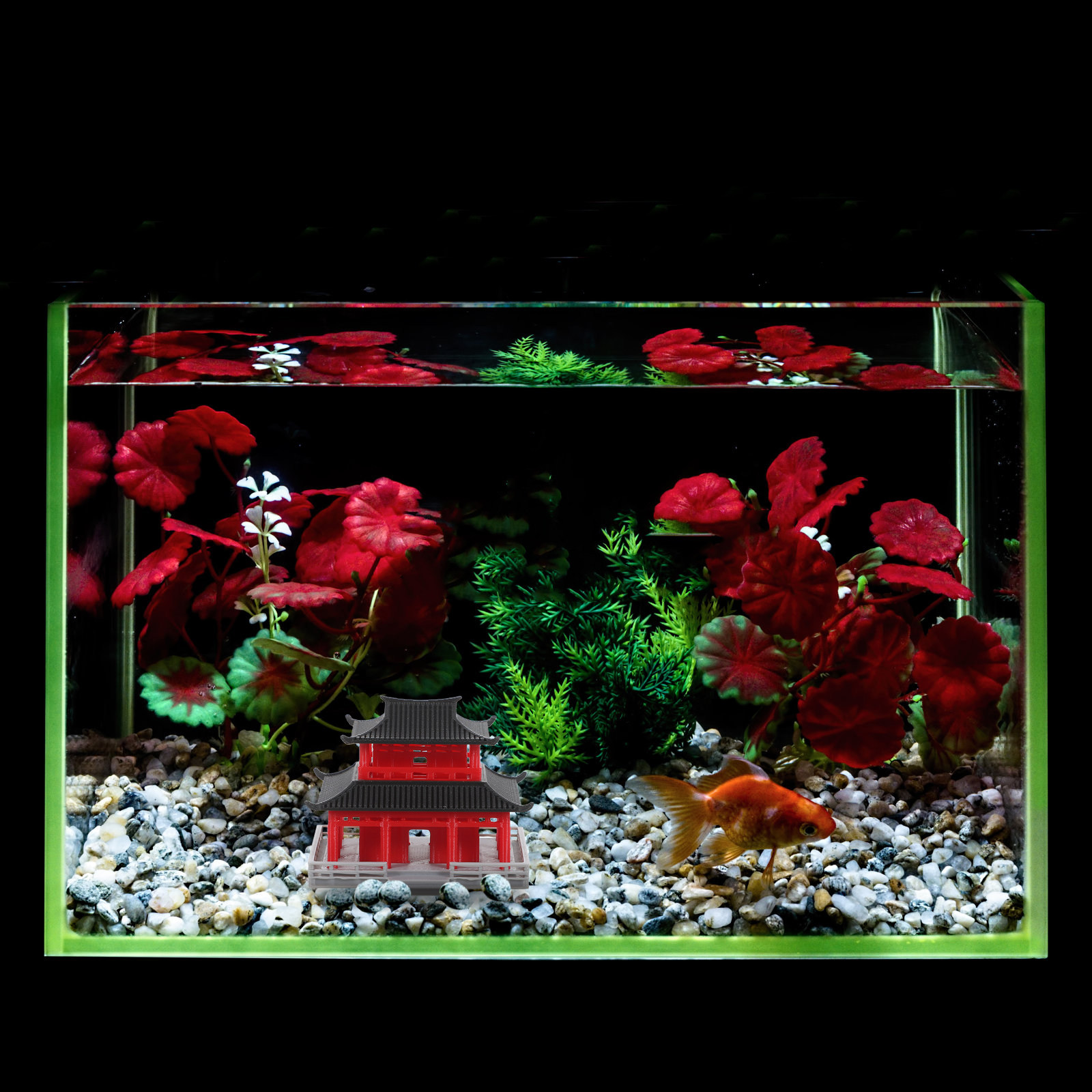 중국 전통 스타일의 미니어처 정원 장식, 검은색과 빨간 - Aquarium & Marine Museum Kota Kinabalu 리뷰 및 가격