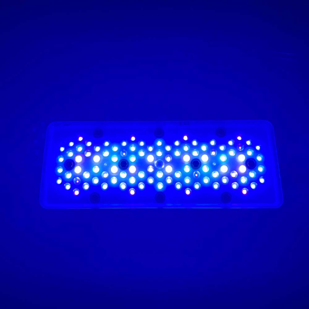 A8se A8PRO III 블루 240W 해양 LED  - Aquarium Blue Marine Reef 리뷰 및 가격