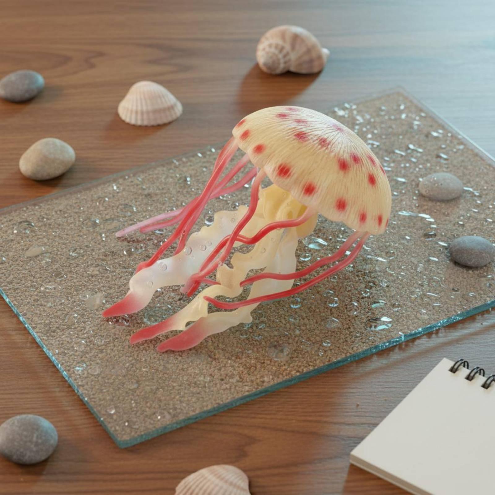 게 모형 사실적인 플라스틱 해양 생물 모델 수족관 및  - Marine Aquarium & Regional Centre 리뷰 및 가격