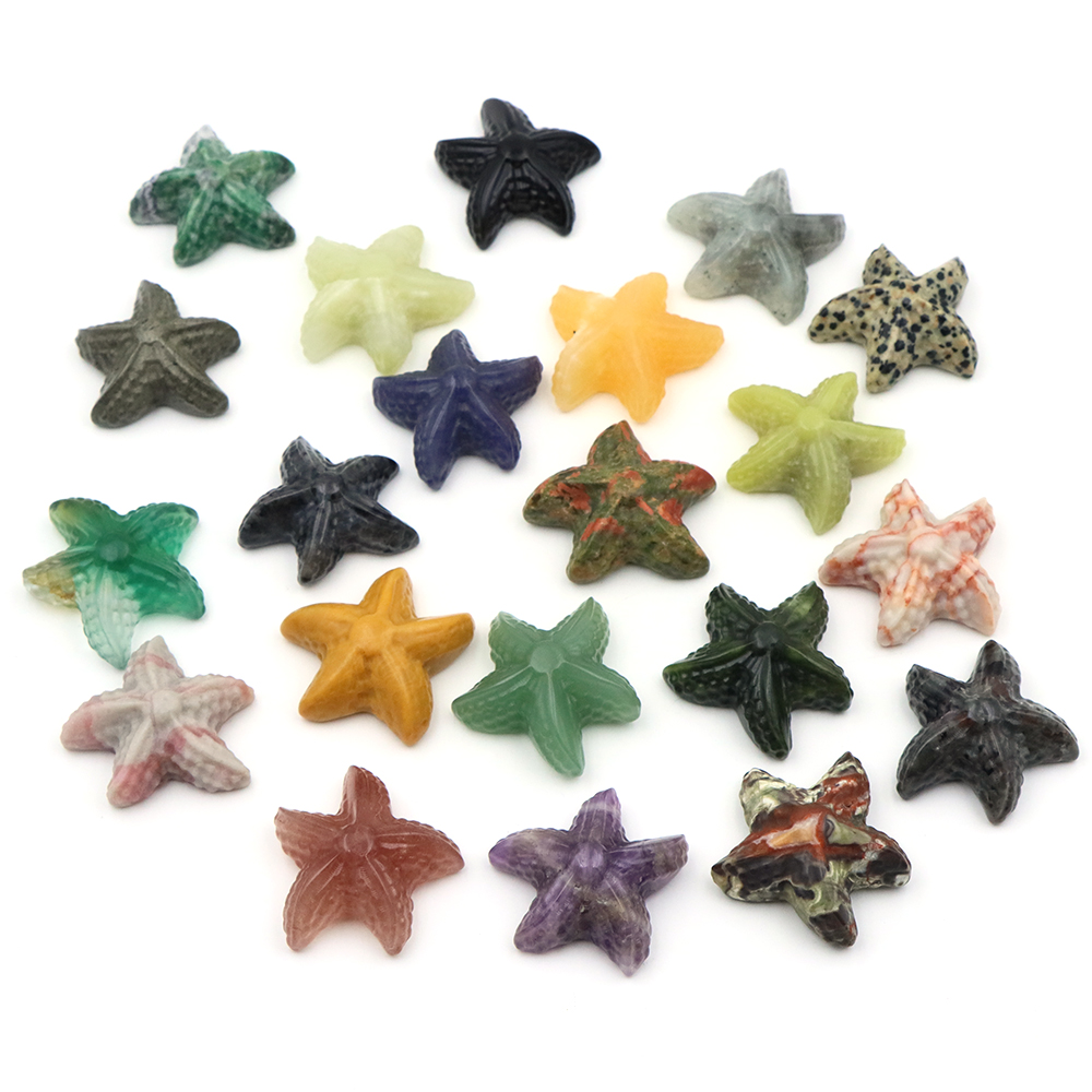 35mm 불가사리 모양 조각상 해양 동물 천연석 치유  - Marine Aquarium & Regional Centre 리뷰 및 가격