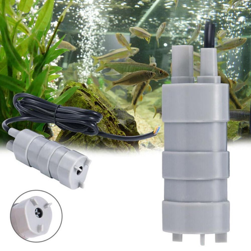 RV 12V 수중 펌프, 1000L/H 고유량 3선 플 - Aquarium & Marine Museum Kota Kinabalu 리뷰 및 가격