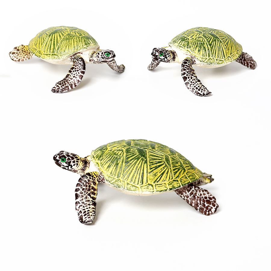 현실적인 미니어처 해양 생물 바다 거북이 모델, 해양  - Marine Aquarium & Regional Centre 리뷰 및 가격